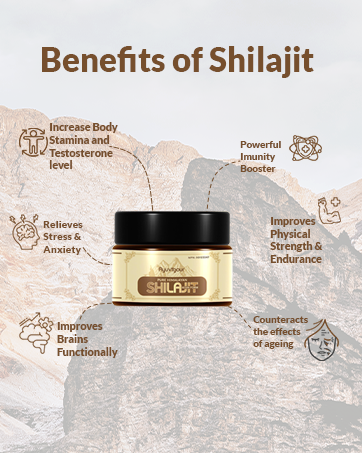 Ayuvigour Pure Himalayan Shilajit Resin - 50g | 100% Raw Resin with Fulvic Acid | Lab-Verified Potency | Natural Energy & Strength Supplement