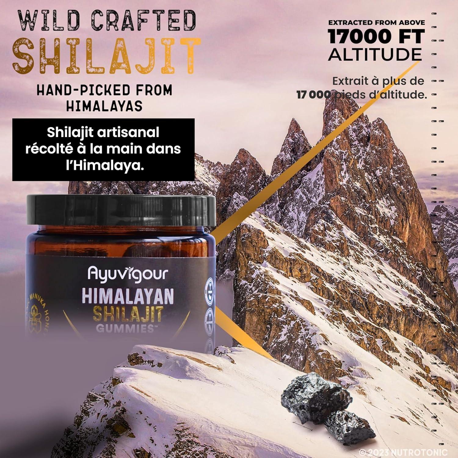 Ayuvigour Himalayan Shilajit Gummies - 30ct | Fulvic Acid for Energy & Vitality | Lab-Tested, Vegan