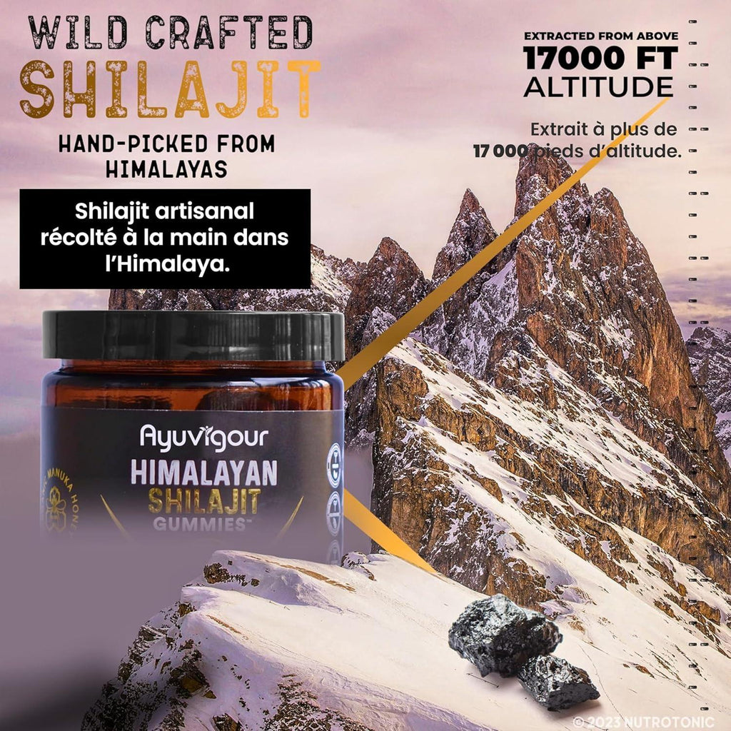 Ayuvigour Himalayan Shilajit Gummies - 30ct | Fulvic Acid for Energy & Vitality | Lab-Tested, Vegan