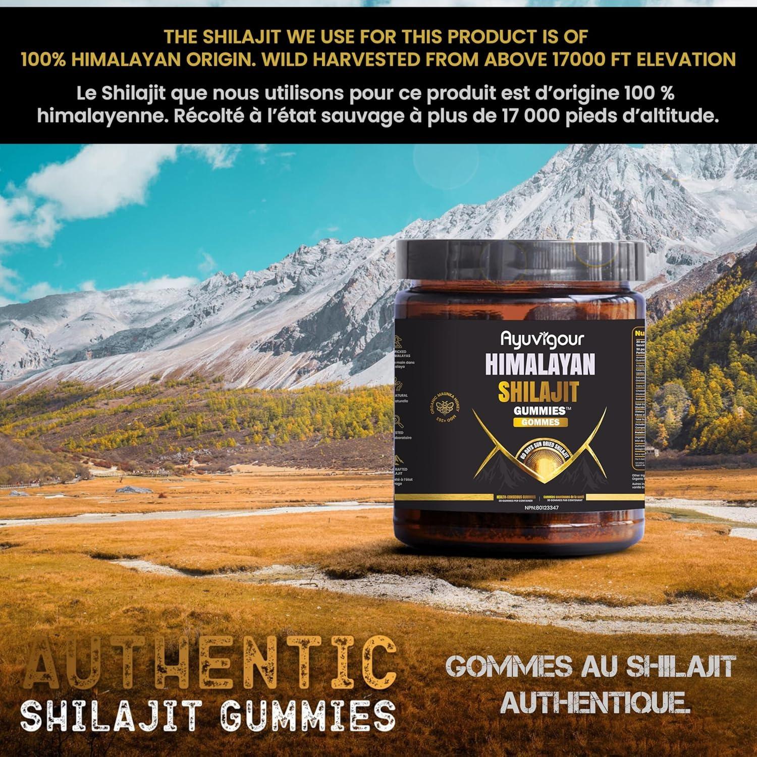 Ayuvigour Himalayan Shilajit Gummies - 30ct | Fulvic Acid for Energy & Vitality | Lab-Tested, Vegan