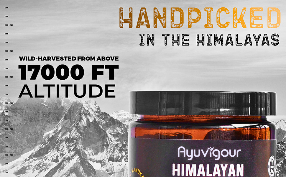 Ayuvigour Himalayan Shilajit Gummies - 30ct | Fulvic Acid for Energy & Vitality | Lab-Tested, Vegan