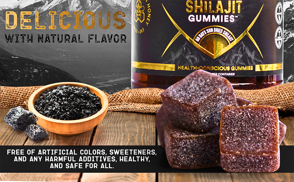 Ayuvigour Himalayan Shilajit Gummies - 30ct | Fulvic Acid for Energy & Vitality | Lab-Tested, Vegan