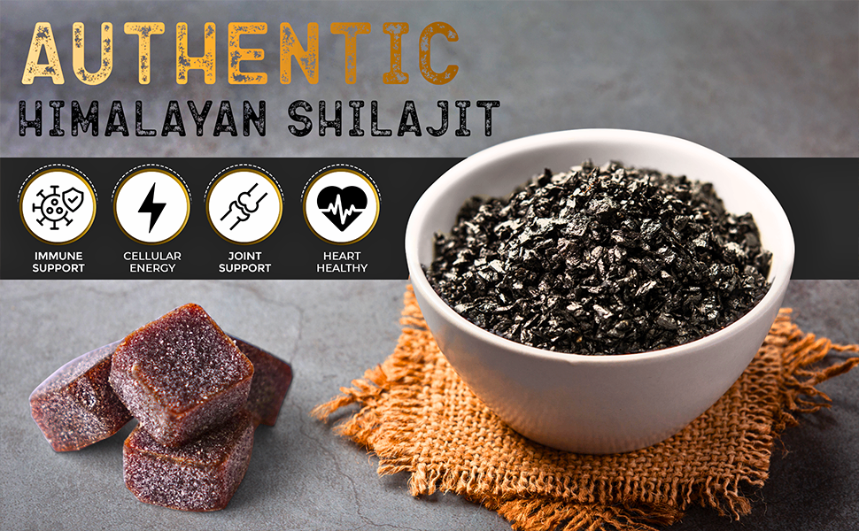 Ayuvigour Himalayan Shilajit Gummies - 30ct | Fulvic Acid for Energy & Vitality | Lab-Tested, Vegan