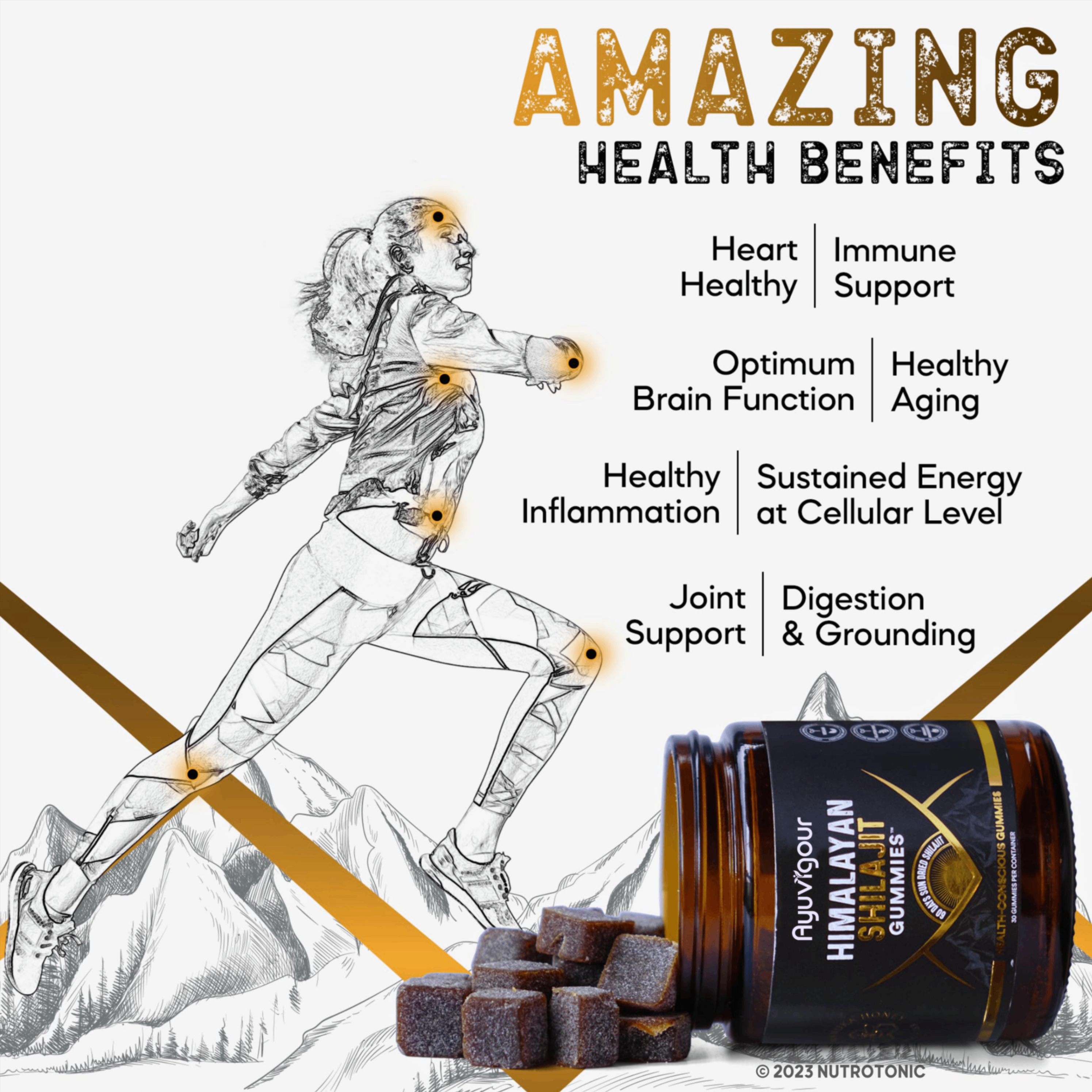Ayuvigour Himalayan Shilajit Gummies - 30ct | Fulvic Acid for Energy & Vitality | Lab-Tested, Vegan