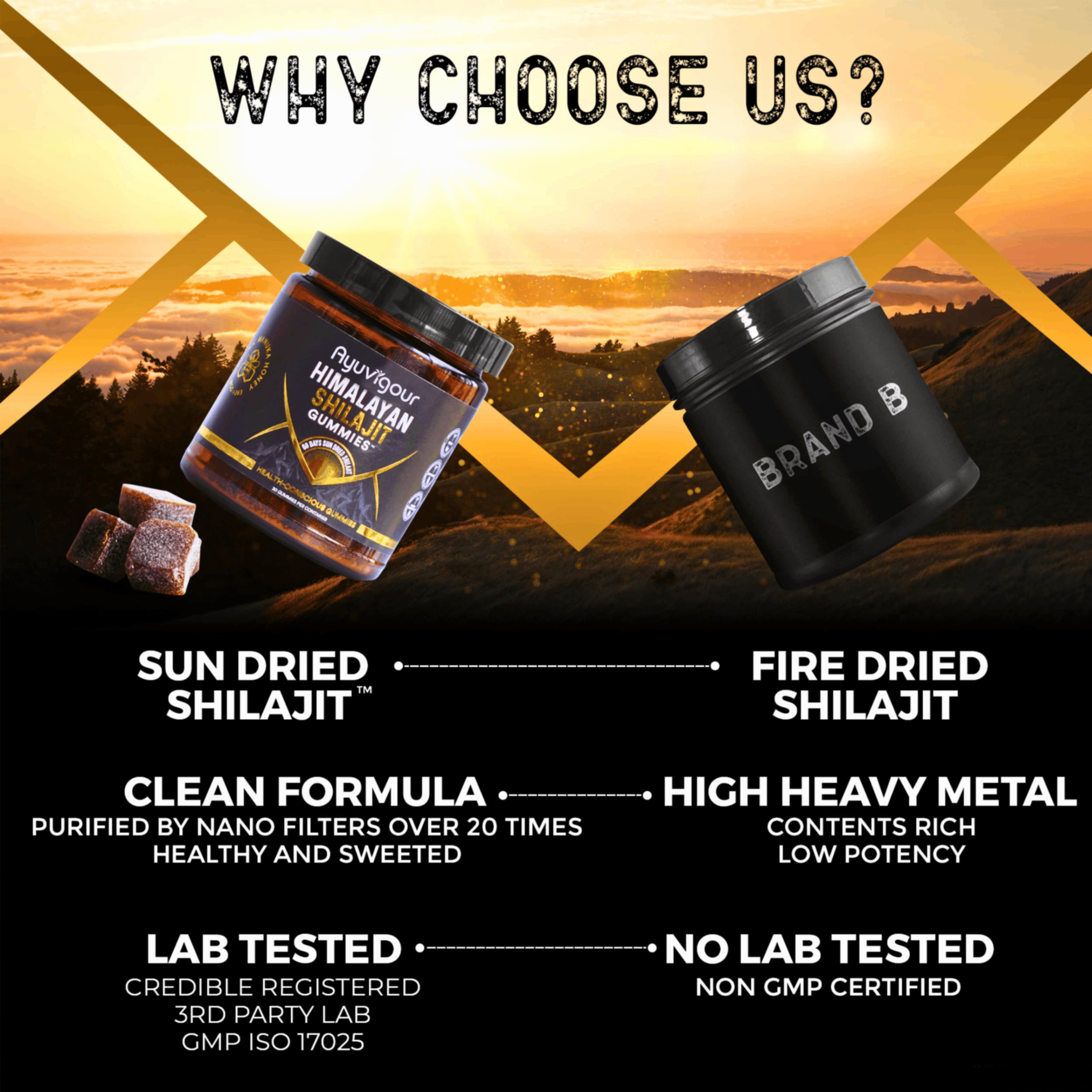 Ayuvigour Himalayan Shilajit Gummies - 30ct | Fulvic Acid for Energy & Vitality | Lab-Tested, Vegan